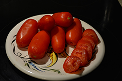 Health Kick Tomato (Solanum lycopersicum 'Health Kick') at Bayport Flower Houses